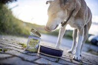 Menü für Hunde Insekten Glück 800g