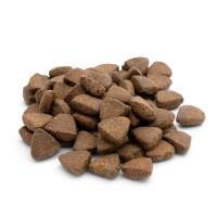 It´s Time To reLACHS - napani Trockenfutter mit Lachs, Junior 2 kg